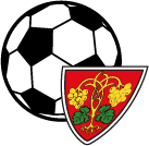 Fussballclub Raron